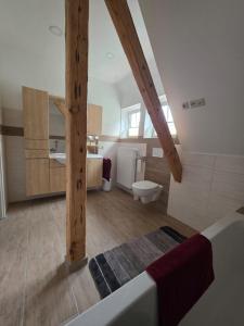 un bagno con un lavandino e un water in una stanza di Luxus Ferienwohnung a Kurort Jonsdorf