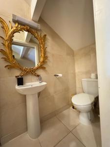 a bathroom with a toilet and a mirror and a sink at The Sardinian Guesthouse (6 Bedrooms) in Cobh +33 photos