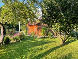 ein Haus mit einem Garten mit grünem Gras und Bäumen in der Unterkunft Agroturystka Dom w Owocowym Sadzie in Nowosielce Kozickie