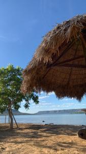 ein Strohschirm und ein Baum am Strand in der Unterkunft Rancho paraíso - Refúgio tranquilo, vista incrível in Lajeado