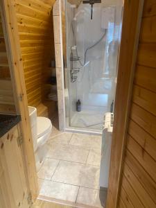 a bathroom with a shower and a toilet at Glen View Pod in Inverlochy