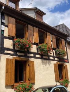 a building with wooden shutters and potted plants on it at Le studio in Turckheim