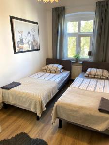 a bedroom with two beds and a window at Lemuria Hostel Szkolna centrum in Legnica