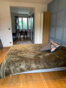 a bedroom with a large bed in a room at Studio Spacieux au Grand Paris in Chennevières-sur-Marne