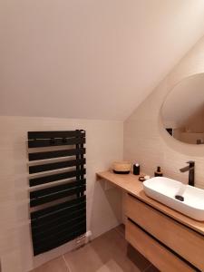 a bathroom with a sink and a mirror at Hébergement 4 personnes proche centre ville Strasbourg in Strasbourg