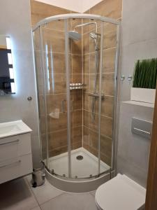 a shower with a glass door in a bathroom at Apartament Love on 5 - Miłość na 5 in Legnica