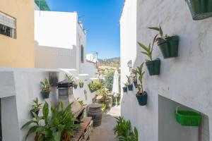 eine Gasse mit Topfpflanzen an der Seite eines Gebäudes in der Unterkunft Casa Ignacio a 15 minutos de Ronda in Arriate