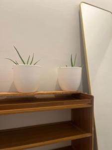 two plants in white bowls on a wooden shelf at Beach house villa in Kokrobite