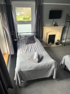 a bedroom with a bed and a fireplace at Apartment 288 in Lower Swanwick