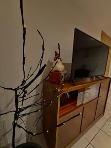 a living room with a tv on a entertainment center at Le Cocoon caché avec parking in Sarreguemines