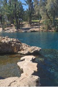 a river with some rocks in the middle of it at מעיינות האהבה in Reshafim