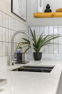 a kitchen counter with a sink and a plant at Lambert House Two in Harrogate