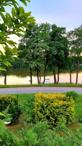 Κήπος έξω από το Domek w naturze