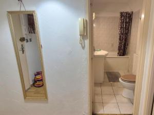 een badkamer met een spiegel en een toilet bij SAWADDEE in Clermont-Ferrand +17 foto's