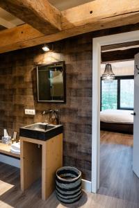 a bathroom with a sink and a mirror on a wall at B&B Langeveldemolen in Merchtem