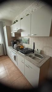 アルノルトシュタインにあるAlpine's Apartmentの白いキャビネットとシンクのあるキッチン