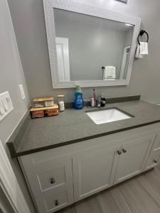 a bathroom counter with a sink and a mirror at Modern Private Suite close to the Airport & Border in Windsor