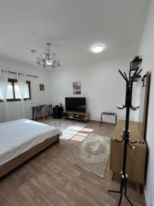 a bedroom with a bed and a television in it at Cosy Private Suite in Suwādah