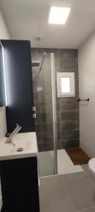 ein Badezimmer mit Waschbecken und Dusche in der Unterkunft La 62 du 11 11 in Bourbourg