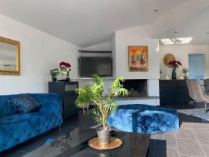 a living room with a blue couch and a tv at Stay Inn - Meisterschwanden in Meisterschwanden