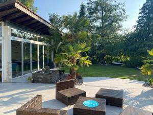 a patio with two chairs and a palm tree at Stay Inn - Meisterschwanden in Meisterschwanden