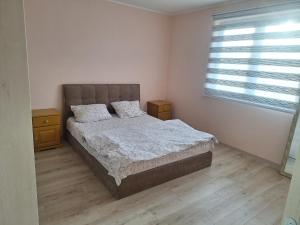 BeogradにあるWelcome dear guests!のウッドフロアのベッドルーム1室(ベッド1台、窓付)