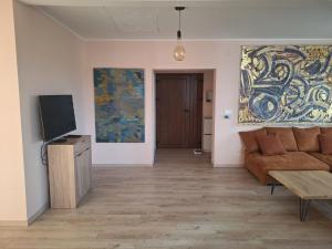 BeogradにあるWelcome dear guests!のソファとテレビのあるリビングルーム