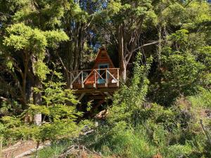 a tree house in the middle of some trees at Alpacas Off Grid - Treehouse and Hut in Upper Takaka