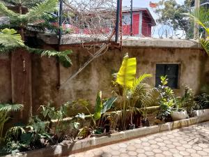 a building with a bunch of plants in front of it at The Pent House Homes in Kisii