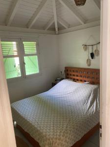 a bedroom with a bed and two windows at Iguane Bungalow in Saint-François +3 photos