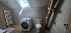 a small bathroom with a toilet and a window at la petite écurie in Soleymieu +5 photos