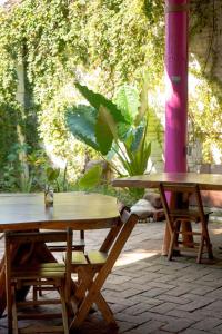 Zahrada ubytování Wajakita Experience Hostel + 12 fotografií