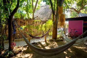 Zahrada ubytování Wajakita Experience Hostel