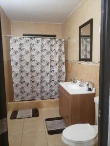 Humacao Puerto Rico house sleeps 8 في هوماكاو: حمام مع مرحاض وستارة دش