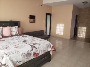 Humacao Puerto Rico house sleeps 8 في هوماكاو: غرفة نوم بها سرير كبير وأريكة
