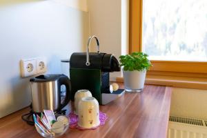 Gallery image of Ferienwohnung Schmölzerhof in Vals