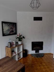 TV a/nebo společenská místnost v ubytování Noclegi U Bram Klasztoru