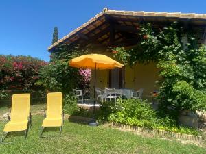 PailhèsにあるLes gîtes de Pailhèsの庭の椅子・傘