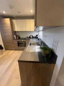 a kitchen with a sink and a counter top at Your Private Apartment in Vibrant Wembley! in London