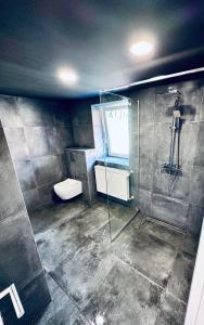a bathroom with a shower and a toilet at Trendy House 65 in Karácsond +9 photos