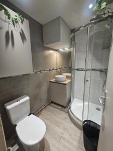 ein Badezimmer mit Toilette, Dusche und Waschbecken in der Unterkunft Appartement entier T2 proche gare de Cergy préfecture in Cergy