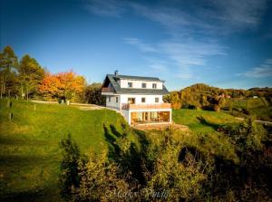 a large white house on a hill with green grass at Bellevue relax Apartment in Žetale