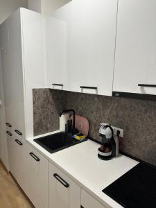 Η κουζίνα ή μικρή κουζίνα στο Apartman TACA