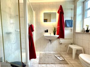 a bathroom with a sink and a toilet and a shower at BAUERNHAUS KRULL App 03 in Althagen +24 photos