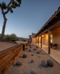 a row of cacti on the side of a building at Salt Pool - Sauna - Cold Plunge - Lux Desert Ranch in Pioneertown