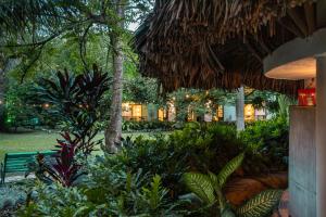 Κήπος έξω από το Palma Serena Finca Hotel