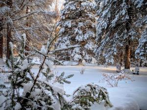 a snow covered park with a bench and trees at La Tremblante in Mont-Tremblant +36 photos