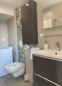 a bathroom with a toilet and a sink and a mirror at Élégant 2 pièces au calme, axe Metz-Luxembourg in La Celle-sous-Gouzon