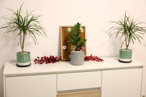 een witte kast met drie potplanten erop bij Hushu Apartment in Giroc