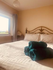 a blue stuffed animal laying on a bed at Lincoln Cathedral Retreat in Scampton